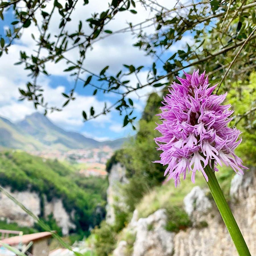 Dafne Holiday Agerola Exterior foto